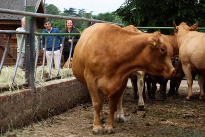 Starmer warned a UK-US trade deal would ‘destroy Britain’s family farms and food standards’