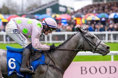 WATCH: Lossiemouth Destroy Teahupoo In Hatton's Grace Hurdle