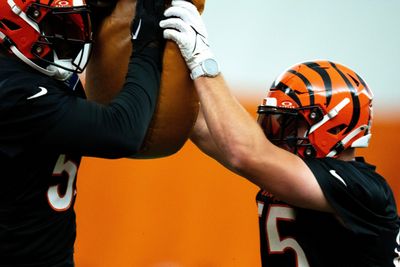 Logan Wilson leads list of big names on Bengals inactives list vs. Steelers