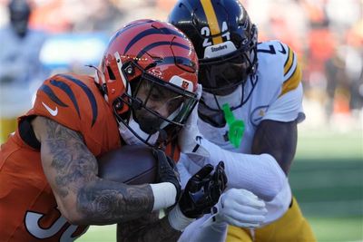 Bengals injury updates immediately after Week 13 vs. Steelers