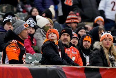 Bengals fans call for firings after season collapses at hands of Steelers