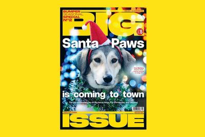 Special Big Issue edition on sellers and their dogs