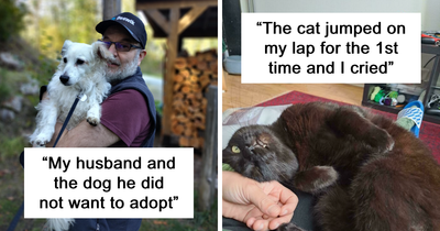 90 Proud Pet Owners Share The Delightful Pets They Adopted In November