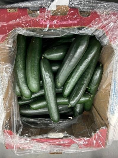 Salmonella Outbreak Linked To Cucumbers Sickens Dozens Across 19 States: CDC Warns