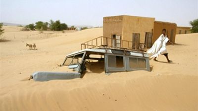 Saudi Arabia hosts Cop16 to combat desertification crisis