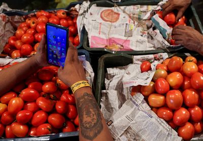 Chinese forced labour claims over ‘Italian’ tomato puree in UK supermarkets