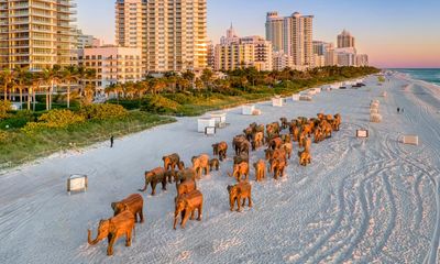 ‘Ground zero for climate change’: the shoreline sculpture park coming to Miami