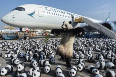 Hong Kong Embraces Panda Craze With Giant Sculpture Exhibition