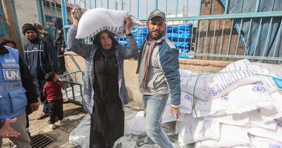 UNRWA suspends aid deliveries through main Gaza crossing amid chaos