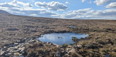 Peatlands urgently need to be restored for UK to meet emissions targets