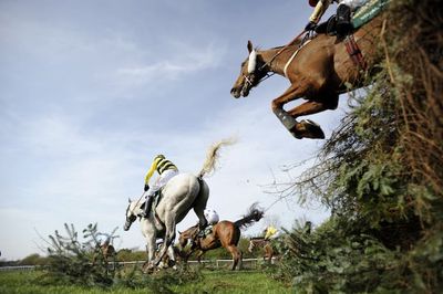 Becher Chase 2024 Runners Headed By Sefton Hero King Turgeon