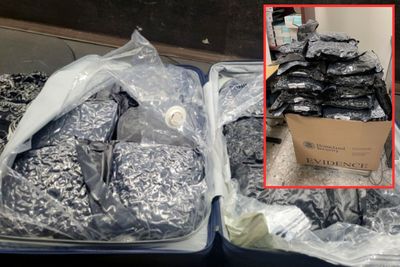 Texas Woman Allegedly Attempts to Sneak Suitcases with Staggering Amount of Pot Onto International Flight, Fails