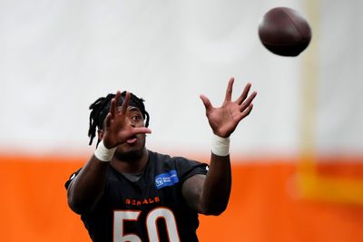 Bengals make roster moves after loss to Steelers