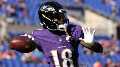 Former Steelers WR future with Baltimore Ravens remains uncertain