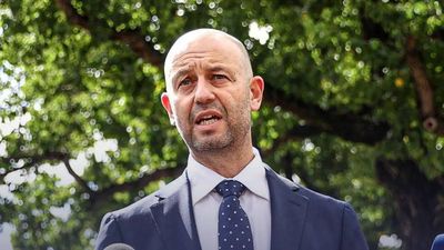 Former rugby league chief Todd Greenberg named Cricket Australia CEO