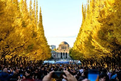 Japan witnesses warmest autumn in history