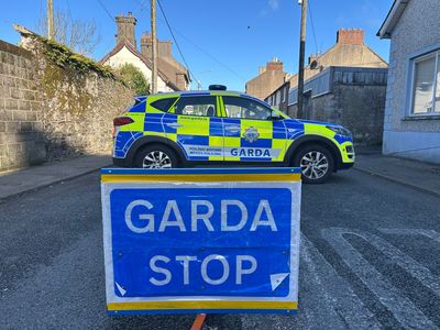 Girl, 8, dies after being stabbed in neck as she ‘tried to save mother’ from knife attack