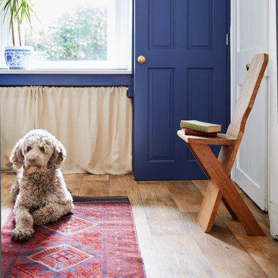 How to vacuum pet hair – the exact technique and tools I use as a Vacuum Expert to keep my home furr-free