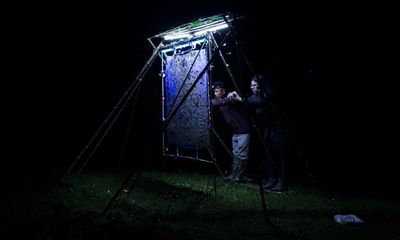 Nocturnes review – entrancing film on how to study moths by night in the Himalayas