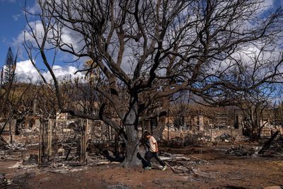 Poverty in Lahaina has doubled after 2023 wildfire: ‘We’re cutting down on what we eat’