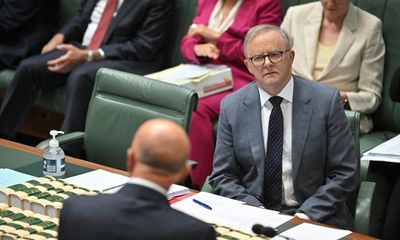 Confidence in federal Labor at Morrison 2022 election loss levels, poll shows