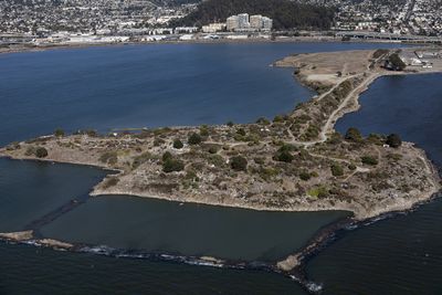 Cancer-Causing Radiation Detected at Popular Bay Area Art Park and Hiking Spot