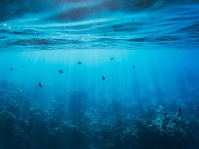 Nauticus Robotics Talks 2025 Projects After Gulf Of Mexico Win