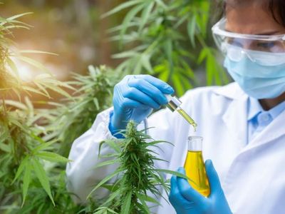 Danish Medical Marijuana Producer Stenocare To Launch Patented 10mg THC And 10mg CBD Oil In Norway