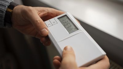 Energy expert reveals ideal temperature for your thermostat this winter