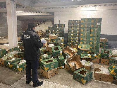 Moment armed police raid gang who smuggled £210m of cocaine in banana boxes