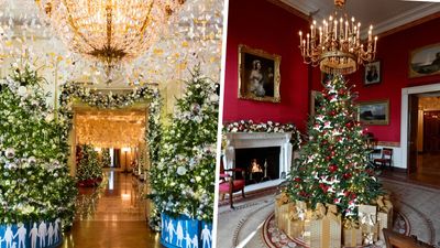 The White House Christmas decorations are guided 'by the peace and light of the holiday season' – and the tree follows this 2024 trend