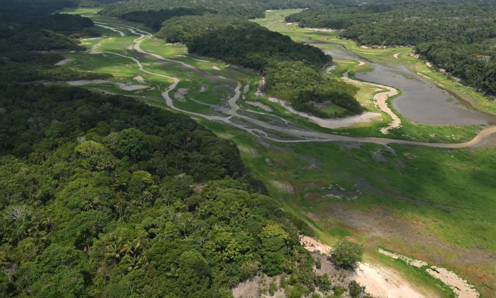 Protection deal for Amazon rainforest in peril as big…