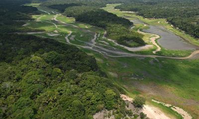 Protection deal for Amazon rainforest in peril as big business turns up heat