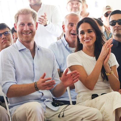 A New Report Debunks Allegations That Prince Harry and Meghan Markle's Archewell Foundation Is Missing Millions of Dollars