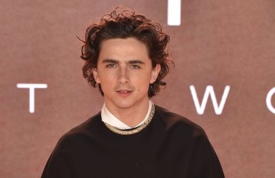 Timothee Chalamet offered to pay lookalike contest fine