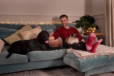 McFly’s Harry Judd: ‘I draw the line at the dog sleeping in our bed’