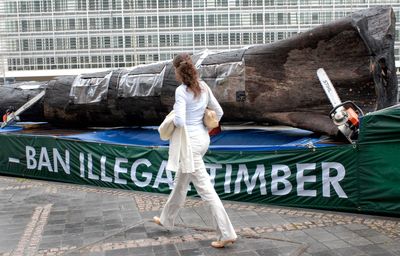 EU pushes back deforestation law by a year after outcry from global producers