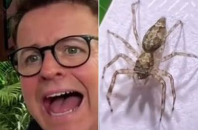 Dec jokes he’s ‘lucky to be alive’ after being bitten by a spider on I’m a Celebrity