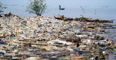 Scottish campaigners call for action on plastic pollution after treaty talks fail