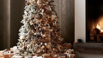 5 Christmas decorations to avoid if you hate mess – curb cleaning chaos with our pros' alternative picks