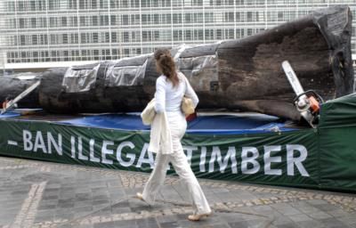 EU Delays Anti-Deforestation Rules Amid Global Opposition