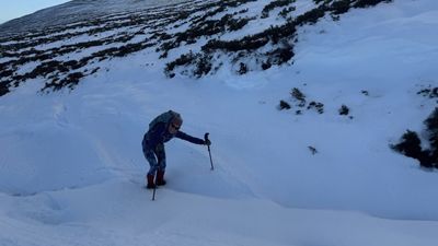 Why I always pack my trekking poles for winter hikes