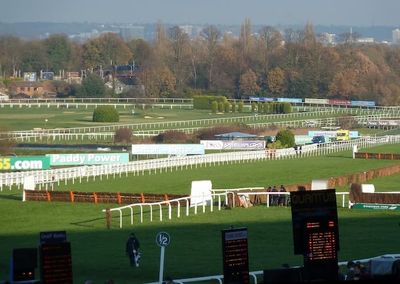 Tingle Creek Chase Picks: Andy Newton Picks His Sandown 1-2-3