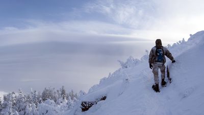 Well-equipped hiker, 22, vanishes on snowy Adirondack mountain – officials seek public's help