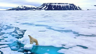 'Ominous milestone for the planet': Arctic Ocean's 1st ice-free day could be just 3 years away, alarming study finds