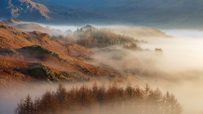 Life story of legendary Lake District fell-walking pioneer Alfred Wainwright celebrated in special year-long event