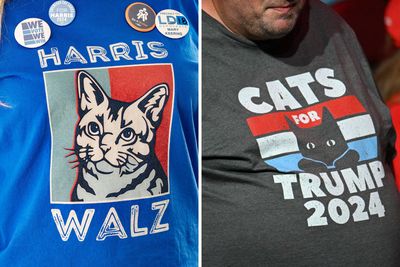 Kamala Harris Won the Cat Lady Vote, But Trump Won with Cat Gentlemen: Poll