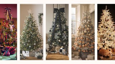 Christmas tree themes: 9 on-trend decorating schemes to try in 2025