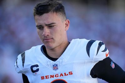 Bengals sign kicker after Evan McPherson injury news