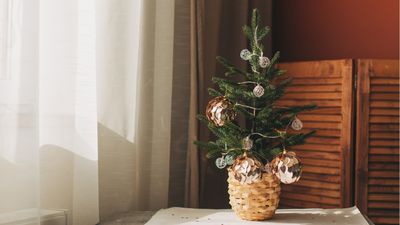 No room for a 7ft Christmas tree? These charming tiny trees are the perfect space-saving solution